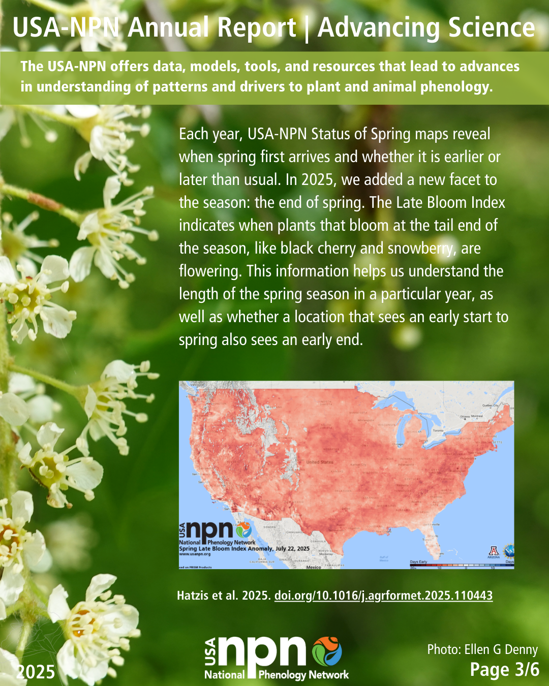 USA-NPN 2025 Annual Report highlight on advancing science