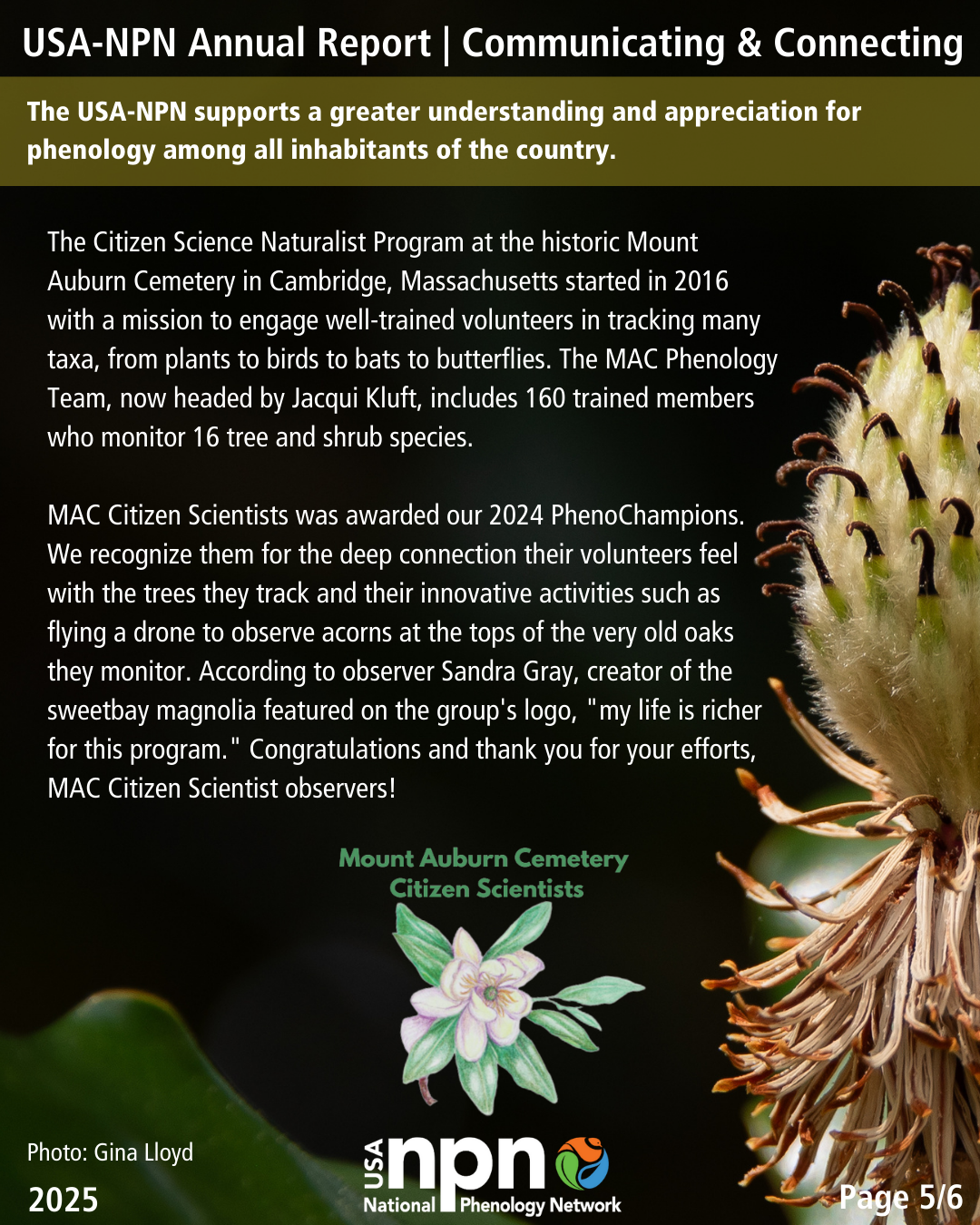 USA-NPN 2025 Annual Report feature on communicating and connecting