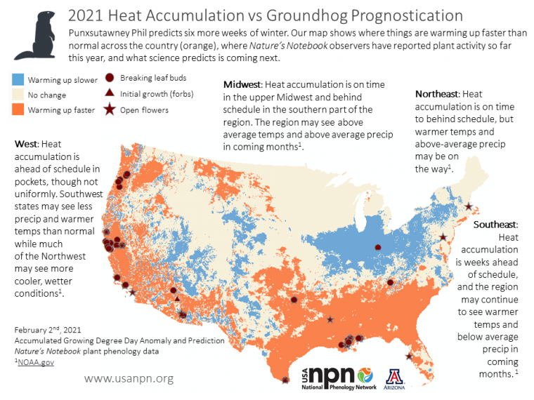 Seasonal story on Groundhog Day 2021