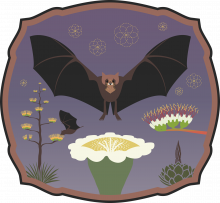 Flowers for Bats campaign badge with bat, saguaro and agave flowers