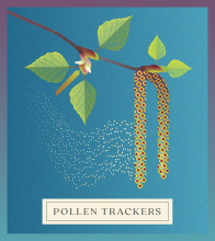Pollen Trackers logo with birch catkins